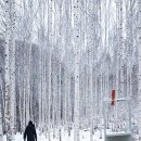 겨울 나그네 -시 박성환- 이미지