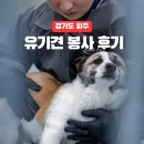 빅독 | 파주 유기견 봉사 후기 | 빅독포레스트 신청방법·준비물·하루 봉사 실제 하는 일