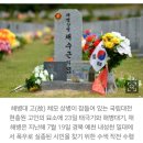 &#39;채상병&#39; 대대장 정신병동 입원…&#34;간부들에 왕따 당해, 죽고 싶다&#34; 이미지