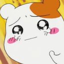 홍 휘트니스 이미지