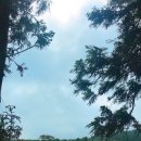 나의목장 2농장 이미지