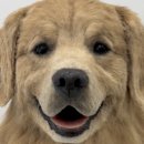 베베몽몽 이미지