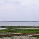 사계올레 이미지