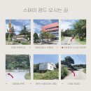 스테이캄드 이미지