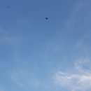 의성대표벌꿀농원