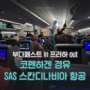 연동 | 부다페스트 in 프라하out SAS 스칸디나비아 항공 경유 / 지연 및 기내식, 수하물 연동 후기