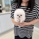 불당4로 이미지