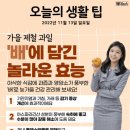 2022년 11월 13일 일요일 HeadlineNews 이미지