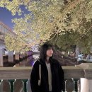 동보카써비스 | [#04 홍콩에서 선전, 광저우가기...~]