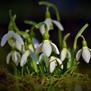 생명의 분출 이미지