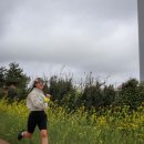 (유)완주환경토건 | 제주국제트레일러닝대회 미리보기 유채런 후기 및 비 오는 날 러닝 꿀팁