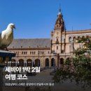 [스페인] 세비야 1박 2일 코스 | 대성당부터 스페인 광장까지 안달루시아 동선 정리
