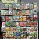 효행로 1R(2->종점) | D+5 🇮🇹 5월 말의 피렌체 자유여행 _ 피렌체 마트 구경 / ala grande / osteria san fiorenzo / 피렌체...