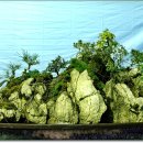 하늘재농원 이미지