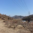 거청뫼100송장산131벼루산168꽃등171머러니산211깃대봉(295여주401)금사산329 미산333 안산249 호아산211/경기여주 이미지