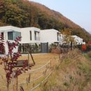 김삿갓 강건너펜션 네이버블로그