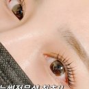 아이래쉬미 네이버블로그
