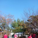 인후공원(배수지) 이미지