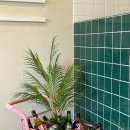 정방동 명지아파트 입구 | [부산/명지] 브런치 맛집 ‘파시토’ 방문 후기 | 메뉴·분위기·가격 총정리