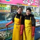 대천항수산시장 이미지