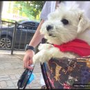 청계종합동물병원 이미지