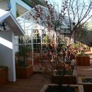 정원약품 이미지