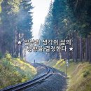 오늘도꽃모닝 이미지