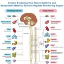 본큐어한의원 이미지