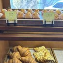 라라온즈 이미지