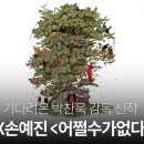 후기...어쩔 수가 없다? 이미지