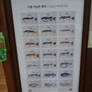 대양복어 이미지