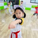 베스트 태권도 이미지