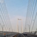 1369 | 오지산행후기(1369차) 하나개해수욕장 갯벌체험 2026.07.01(수)