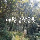 금산콩나물비빔밥 이미지