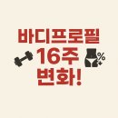 소사로3L | 범박동헬스장 회원님 바디프로필 16주 변화