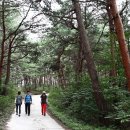 향호소공원화장실 이미지