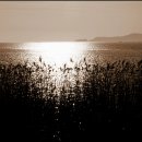 강화바다 이미지