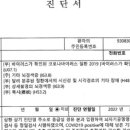 유솜
