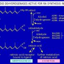 MDSC 이미지