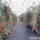 화수축산 이미지