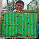 대화인조구장 이미지