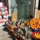 학림마을 | 10월 마지막 주 일상