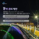세종우체국 보행교 북측 네이버블로그