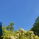 해밀계곡농장 이미지