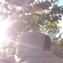 황태고을 이미지