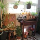 모텔핑크로즈 이미지