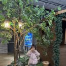 캣플 동탄점 | [6살 아이랑] 모노플렉스 안영채, 캣플 동탄점