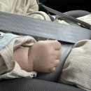 통팔아구 이미지