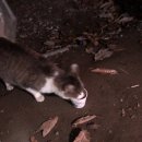 자연과한의원 이미지