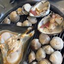 불타는조개 이미지